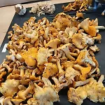 Germaine Et Yves Tatil Evi *